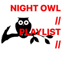 Load image into Gallery viewer, NIGHT OWL