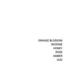 Load image into Gallery viewer, ODYSSEY