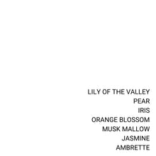 Load image into Gallery viewer, BACK TO BED