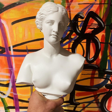 Load image into Gallery viewer, STONE WHITE APHRODITE