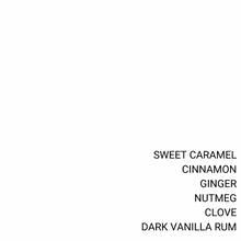 Load image into Gallery viewer, GINGERBREAD HOUSE