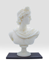 Load image into Gallery viewer, APOLLO WAX BUST