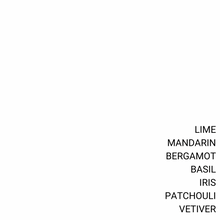 Load image into Gallery viewer, LIME, BASIL & MANDARIN