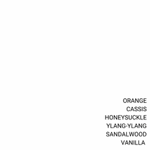 Load image into Gallery viewer, HONEYSUCKLE