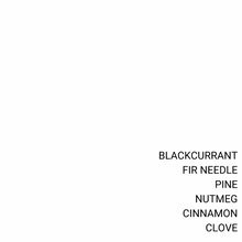 Load image into Gallery viewer, CHRISTMAS