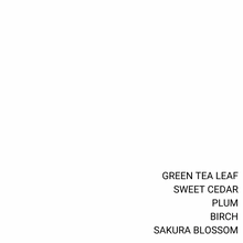 Load image into Gallery viewer, TOKYO