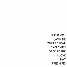 Load image into Gallery viewer, NONNA'S FIG TREE