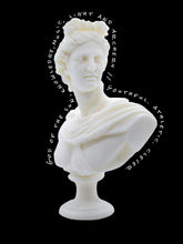 Load image into Gallery viewer, APOLLO WAX BUST