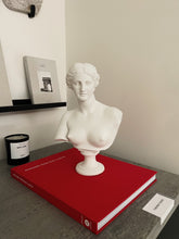 Load image into Gallery viewer, STONE WHITE APHRODITE