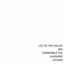 Load image into Gallery viewer, EIGHT HOURS