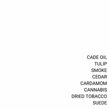 Load image into Gallery viewer, AMSTERDAM