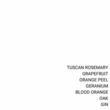 Load image into Gallery viewer, NEGRONI