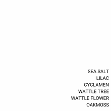 Load image into Gallery viewer, SYDNEY