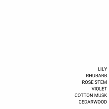 Load image into Gallery viewer, ROSES