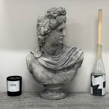 Load image into Gallery viewer, APOLLO BUST [XL]
