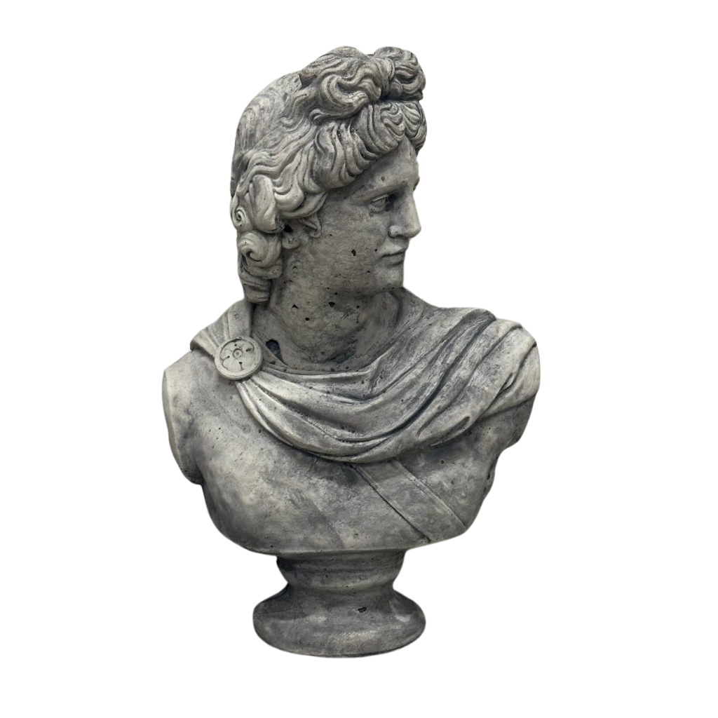 APOLLO BUST [XL]