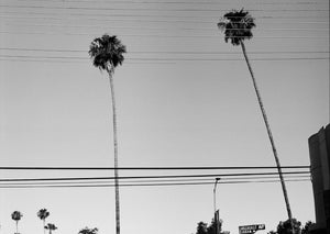 LOS ANGELES CEREAL CITY GUIDE