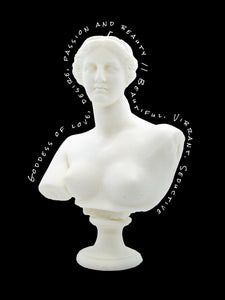 APHRODITE WAX BUST