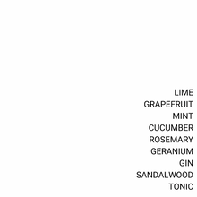 Load image into Gallery viewer, GIN &amp; TONIC
