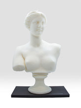 Load image into Gallery viewer, APHRODITE WAX BUST
