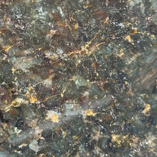 Load image into Gallery viewer, DEVONIAN
