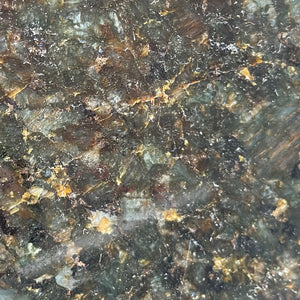 DEVONIAN